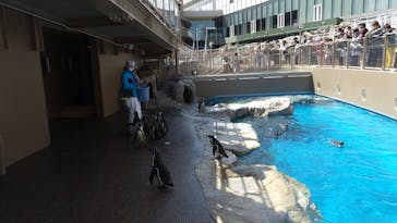 アクアワールド茨城県大洗水族館に投稿された画像（2023/4/3）