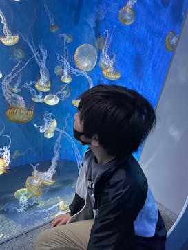 新江ノ島水族館に投稿された画像（2023/4/3）