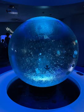 新江ノ島水族館に投稿された画像（2023/4/3）