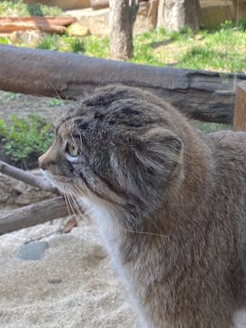 那須どうぶつ王国に投稿された画像（2023/4/3）