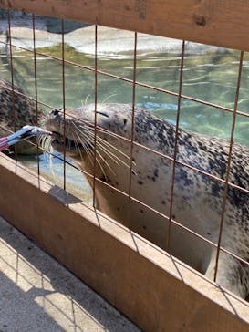 那須どうぶつ王国に投稿された画像（2023/4/3）