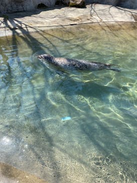 那須どうぶつ王国に投稿された画像（2023/4/3）