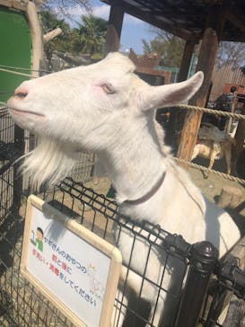 東武動物公園に投稿された画像（2023/4/3）