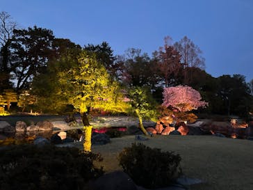 『NAKED FLOWERS 2023 桜 世界遺産・二条城』に投稿された画像（2023/4/3）