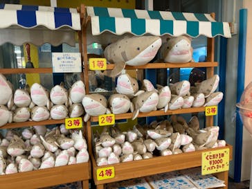 新江ノ島水族館に投稿された画像（2023/4/3）