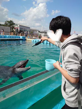 横浜・八景島シーパラダイスに投稿された画像（2023/4/3）