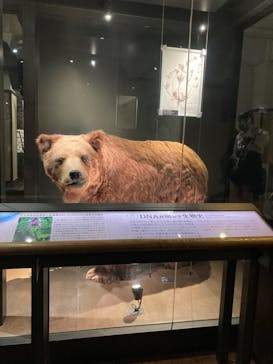 国立科学博物館に投稿された画像（2023/4/3）