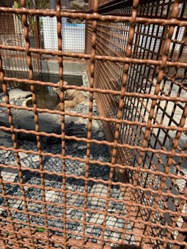 熱川バナナワニ園に投稿された画像（2023/4/3）