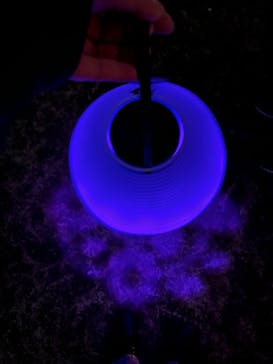 NAKED 桜の新宿御苑 2023に投稿された画像（2023/4/3）