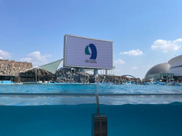 名古屋港水族館に投稿された画像（2023/4/3）