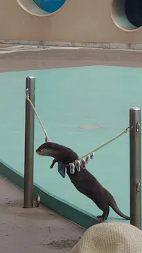 横浜・八景島シーパラダイスに投稿された画像（2023/4/3）