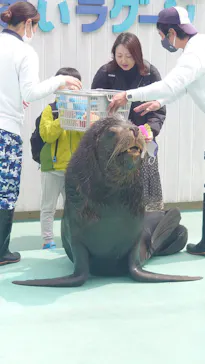 横浜・八景島シーパラダイスに投稿された画像（2023/4/3）