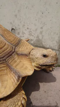 横浜・八景島シーパラダイスに投稿された画像（2023/4/3）