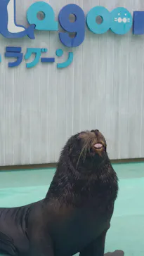 横浜・八景島シーパラダイスに投稿された画像（2023/4/3）