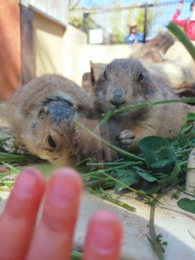 到津の森公園に投稿された画像（2023/4/3）