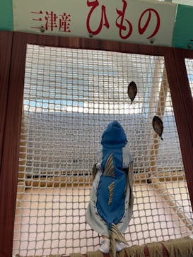 伊豆・三津シーパラダイスに投稿された画像（2023/4/3）