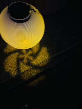 NAKED 桜の新宿御苑 2023に投稿された画像（2023/4/3）