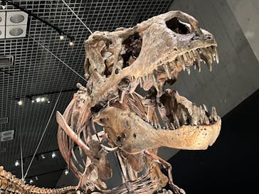 特別展「恐竜博2023」に投稿された画像（2023/4/3）