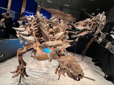 特別展「恐竜博2023」に投稿された画像（2023/4/3）