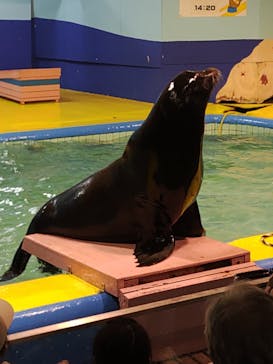ゼロ距離水族館 伊勢シーパラダイスに投稿された画像（2023/4/3）