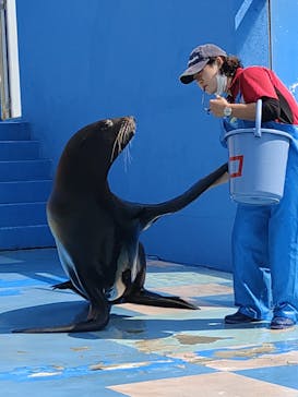 ゼロ距離水族館 伊勢シーパラダイスに投稿された画像（2023/4/3）