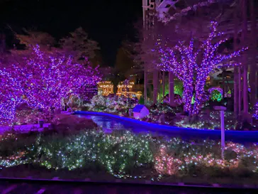 ひらかたパークに投稿された画像（2023/4/3）