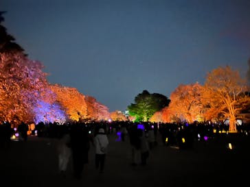 NAKED 桜の新宿御苑 2023に投稿された画像（2023/4/3）