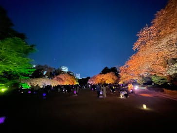 NAKED 桜の新宿御苑 2023に投稿された画像（2023/4/3）