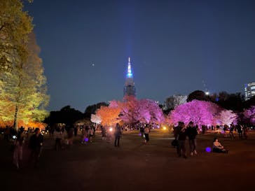 NAKED 桜の新宿御苑 2023に投稿された画像（2023/4/3）