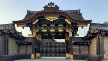 『NAKED FLOWERS 2023 桜 世界遺産・二条城』に投稿された画像（2023/4/3）