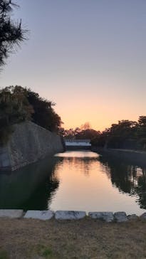 『NAKED FLOWERS 2023 桜 世界遺産・二条城』に投稿された画像（2023/4/3）