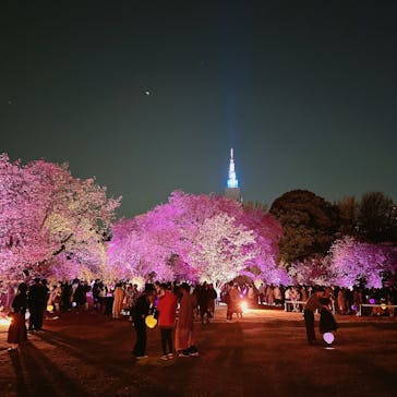 NAKED 桜の新宿御苑 2023に投稿された画像（2023/4/3）