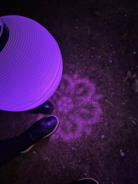 NAKED 桜の新宿御苑 2023に投稿された画像（2023/4/3）