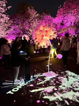 NAKED 桜の新宿御苑 2023に投稿された画像（2023/4/3）