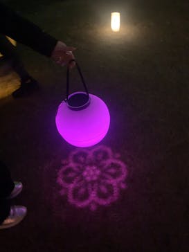 NAKED 桜の新宿御苑 2023に投稿された画像（2023/4/3）