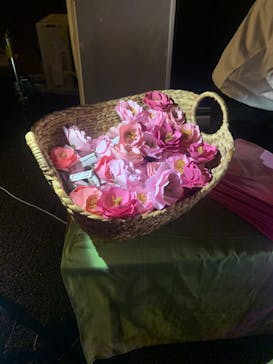 NAKED 桜の新宿御苑 2023に投稿された画像（2023/4/3）