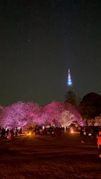 NAKED 桜の新宿御苑 2023に投稿された画像（2023/4/3）