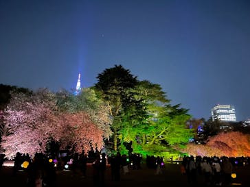 NAKED 桜の新宿御苑 2023に投稿された画像（2023/4/3）