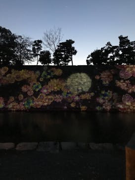 『NAKED FLOWERS 2023 桜 世界遺産・二条城』に投稿された画像（2023/4/3）