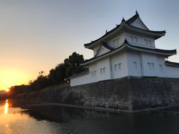 『NAKED FLOWERS 2023 桜 世界遺産・二条城』に投稿された画像（2023/4/3）