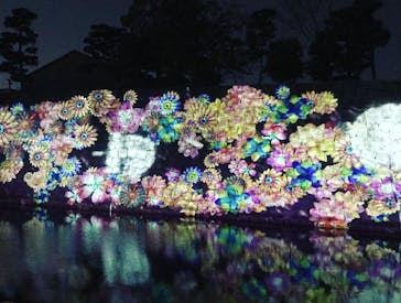 『NAKED FLOWERS 2023 桜 世界遺産・二条城』に投稿された画像（2023/4/3）