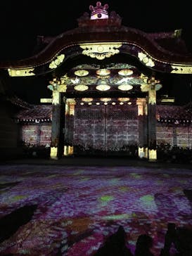 『NAKED FLOWERS 2023 桜 世界遺産・二条城』に投稿された画像（2023/4/3）