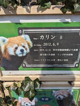 東武動物公園に投稿された画像（2023/4/3）
