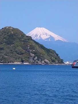 伊豆・三津シーパラダイスに投稿された画像（2023/4/3）