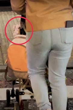 NAKED 桜の新宿御苑 2023に投稿された画像（2023/4/3）