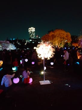 NAKED 桜の新宿御苑 2023に投稿された画像（2023/4/3）