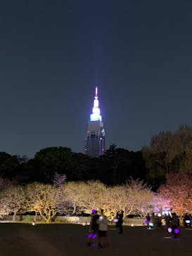 NAKED 桜の新宿御苑 2023に投稿された画像（2023/4/3）