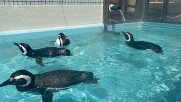 株式会社Gに投稿された画像（2023/4/3）