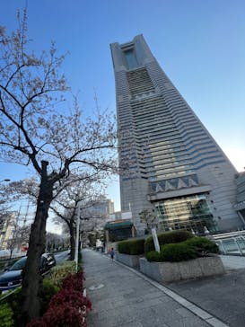 横浜ランドマークタワー 69階展望フロア スカイガーデンに投稿された画像（2023/4/3）