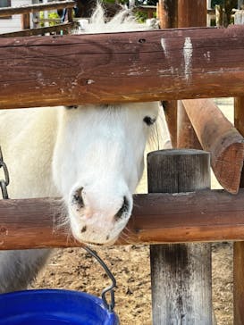 東武動物公園に投稿された画像（2023/4/3）